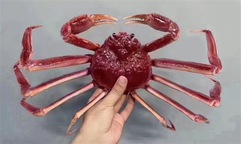Fake Seafood .